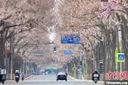 葫芦岛共建“花园城市” 北京这场议政会“百花齐放”