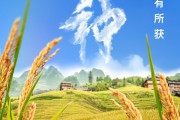 葫芦岛芒种节气小知识来了 夏种作物都有什么？