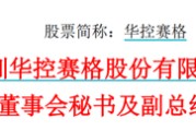 葫芦岛华控赛格董事长、董秘、副总经理三高管同日辞职