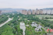 葫芦岛西宁市举办六五环境日主题宣传活动